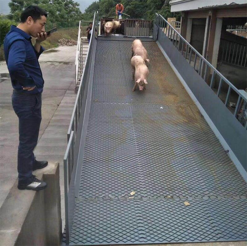 卸豬臺(tái)液壓升降機(jī)